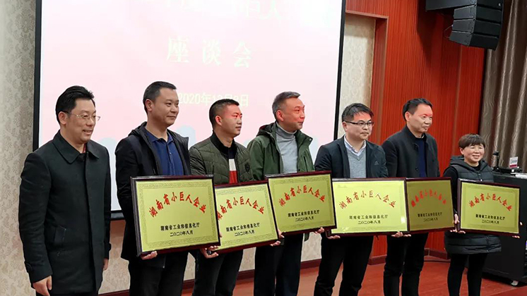 喜大普奔！炬神電子被評(píng)為湖南省“小巨人”企業(yè)